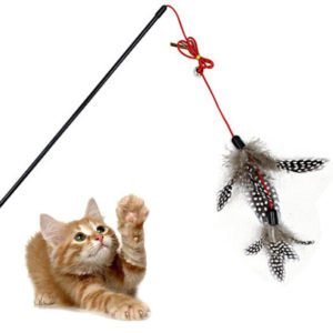 Feather Wand Toy Cat geozoo.org