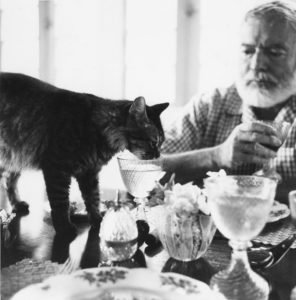 Ernest Hemingway and His Cats GeoZoo.org
