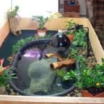 The 12 Coolest Pet Turtle Habitats (with photos) - GeoZoo.org