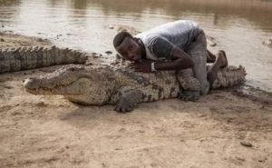 The Pros and Cons of Having a Pet Alligator black man on alligator