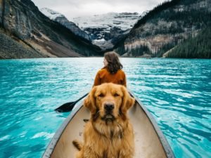 Our Guide to Traveling SAFELY With Your Pet Dog + Girl on boat