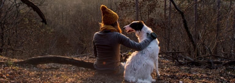 Our Guide to Traveling SAFELY With Your Pet Girl + Dog