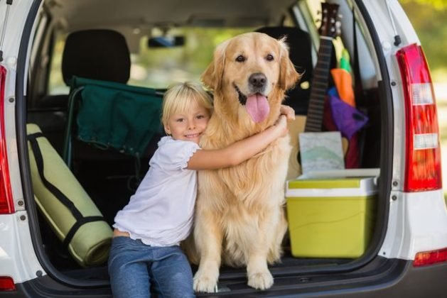 Our Guide To Traveling SAFELY With Your Pet - GeoZoo.org