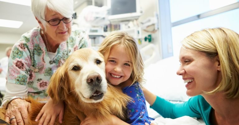“PAWS For People” Makes Pet Therapy Accessible For All