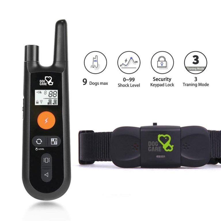 DOG CARE Dog Training Collar – Product Review