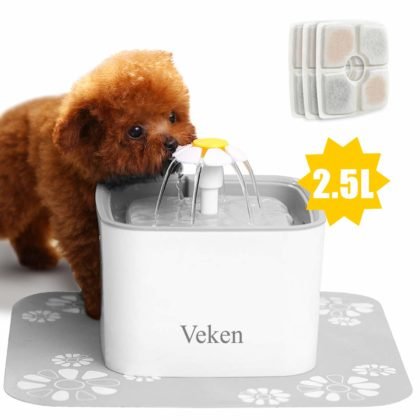 Veken Automatic Pet Fountain – Product Review - GeoZoo.org