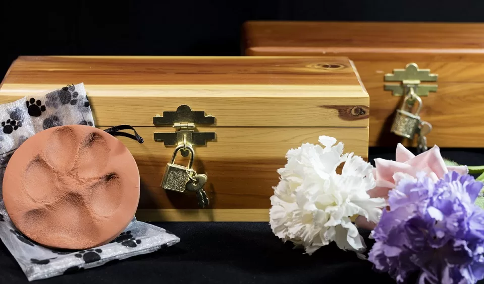 doggy funeral