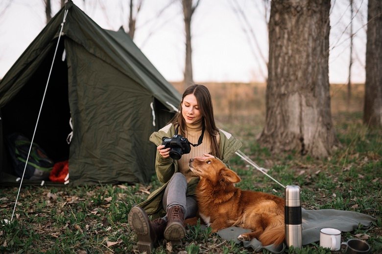 Useful Tricks That Will Make Travel With Your Dog Easier - GeoZoo.org