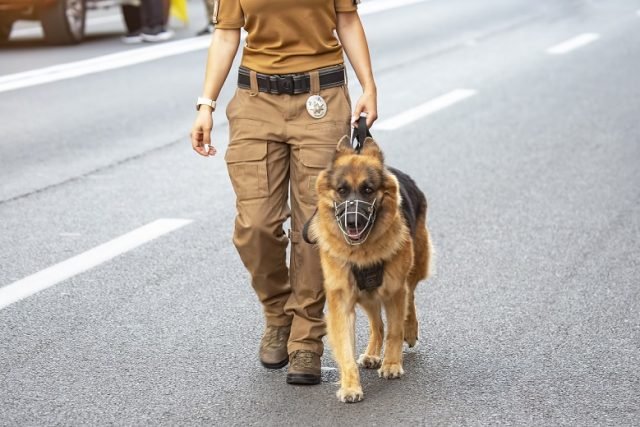 female officer with K9
