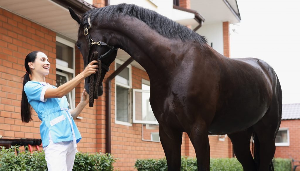 nurse guiding a horse at the vet