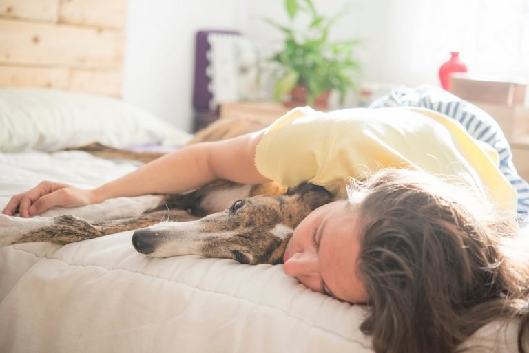 greyhounds make great pets