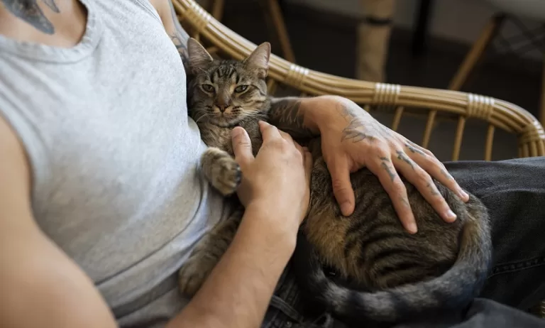 my favorite kitty