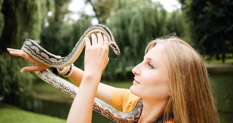 pet snake