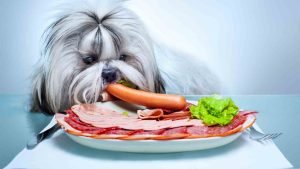 can dogs eat breakfast sausage