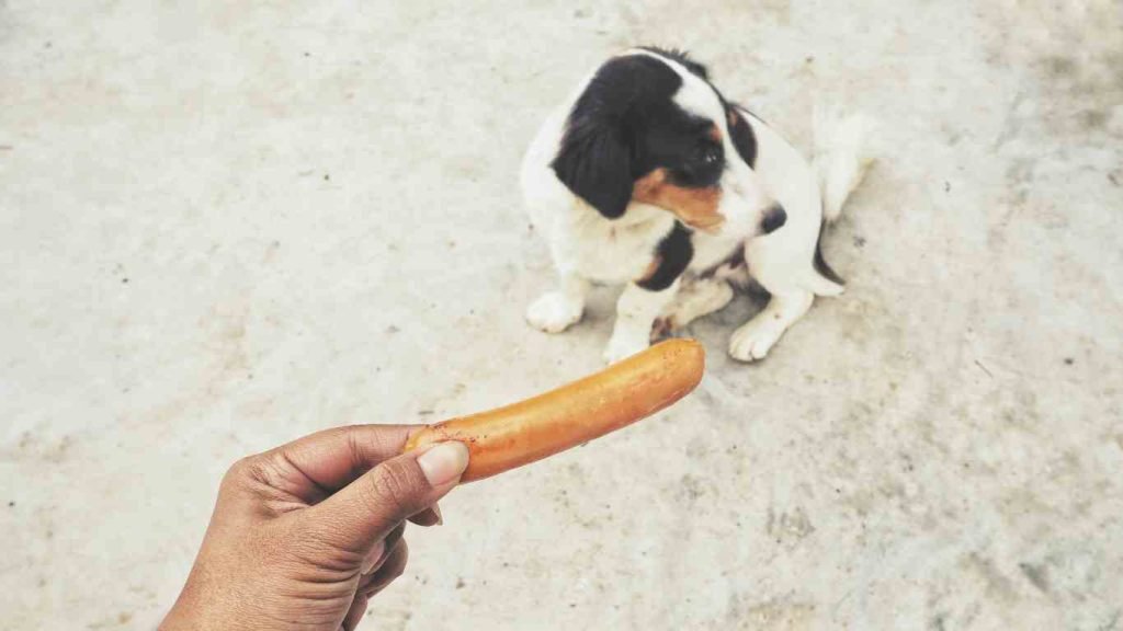 can dogs eat breakfast sausage